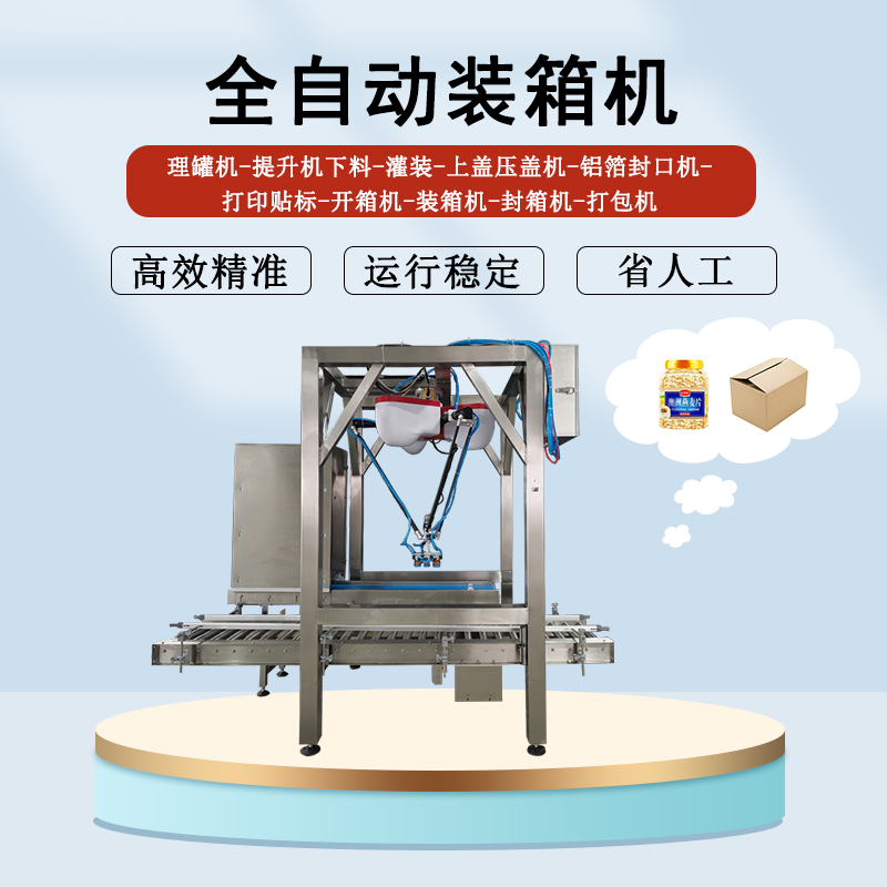 全自動(dòng)裝箱機(jī)